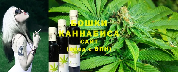 ECSTASY Горняк