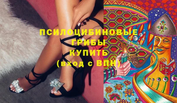 бутират Щигры
