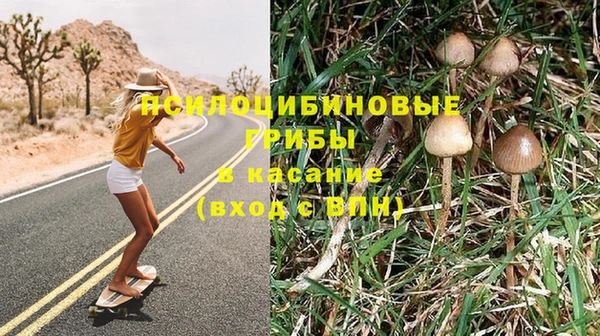 винт Щучье